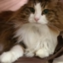 luna*